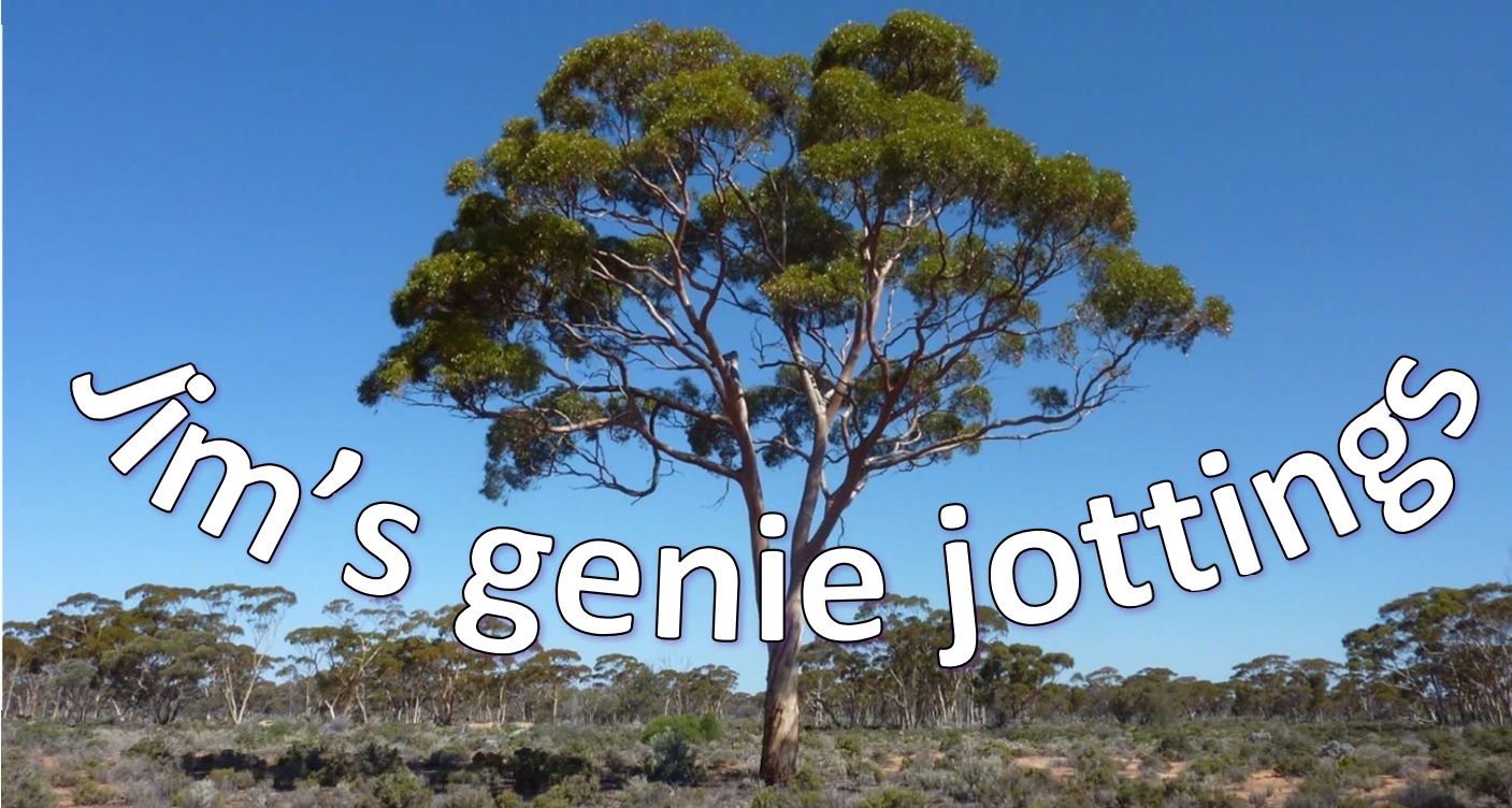 Jim's Genie Jottings